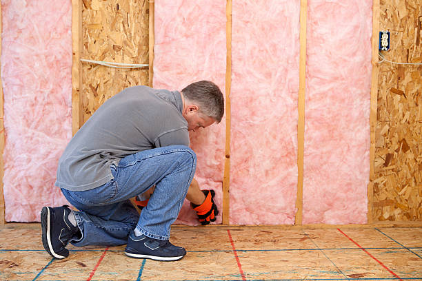 Best Eco-Friendly Insulation in Yorkshire, VA