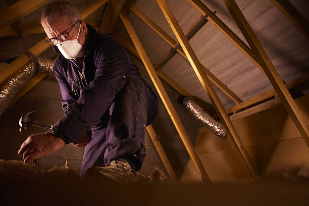 Best Geographic-Specific Insulation Services in Yorkshire, VA